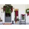 24” Just Cut Norfolk Pine Wreath Fresh & Lush Holiday Decoration